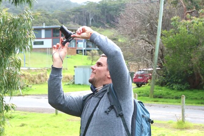 Full-Day Great Ocean Road and 12 Apostles Sunset Tour from Melbourne - Kennett River for koalas: how to make the wildlife stop count