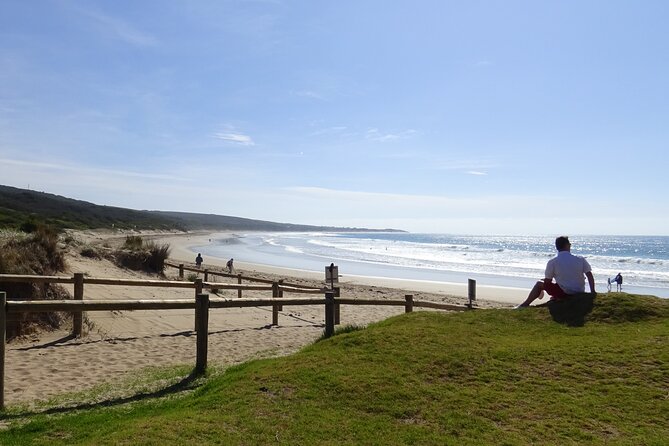 Full-Day Great Ocean Road and 12 Apostles Tour - Melbourne pickup at 7:00 am, and why that matters