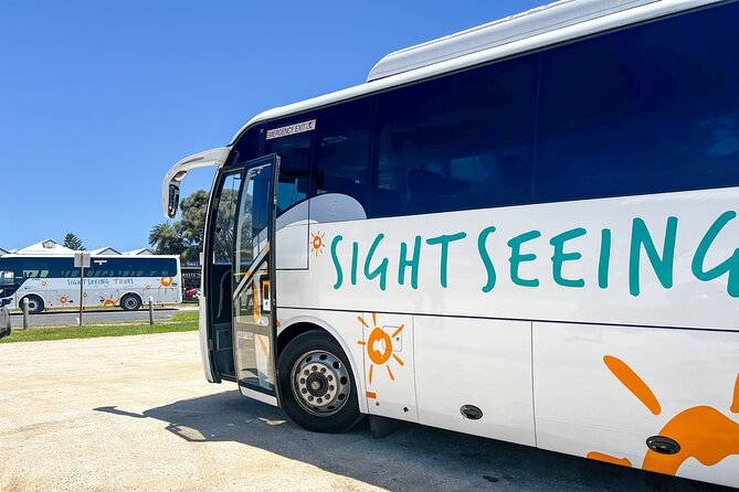 Full-Day Great Ocean Road and 12 Apostles Tour - Melba Gully National Park: rainforest trails that cool you off