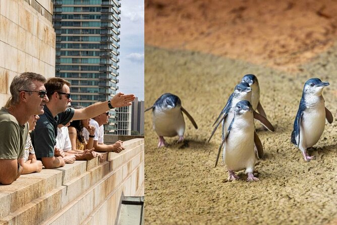 Full-day Melbourne City Sightseeing with Penguin Parade - Key highlights to clock before you go
