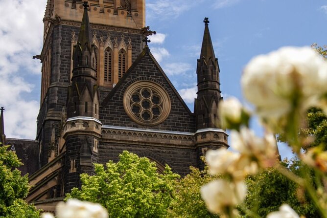 Full-day Melbourne City Sightseeing with Penguin Parade - A craft-spirit break and city drive-bys that add context
