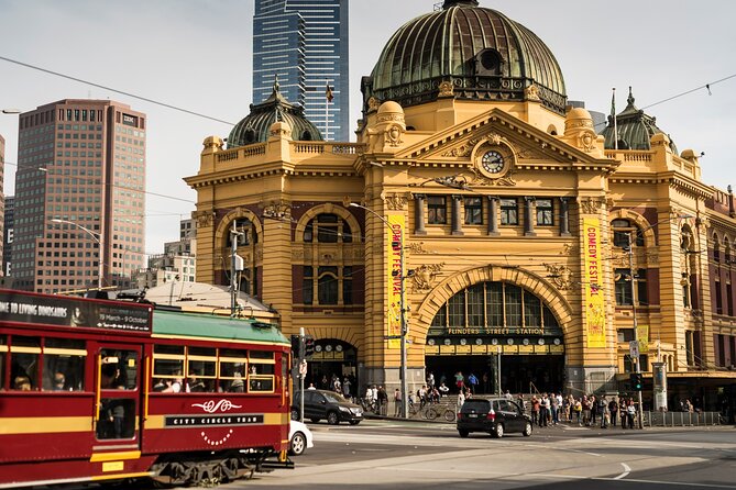 Full-day Melbourne City Sightseeing with Penguin Parade - The Nobbies: seals, ocean views, and a breather before the main event