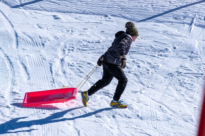 Full-Day Mount Buller Tour - Who Should Book This Mount Buller Tour (and Who Might Want to Skip)