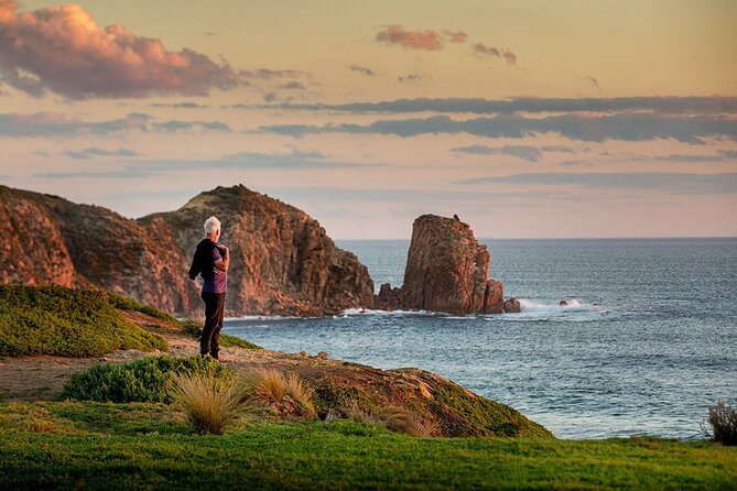Full-Day Phillip Island Tour with Kangaroo, Koala and Penguin Parade - Penguin Parade at Summerland Beach: The Main Show After Dusk