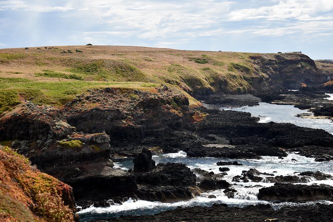 Full-Day Private Australian Wildlife Tour of Phillip Island - The Penguin Centre at Sunset: Where the Night Comes Alive