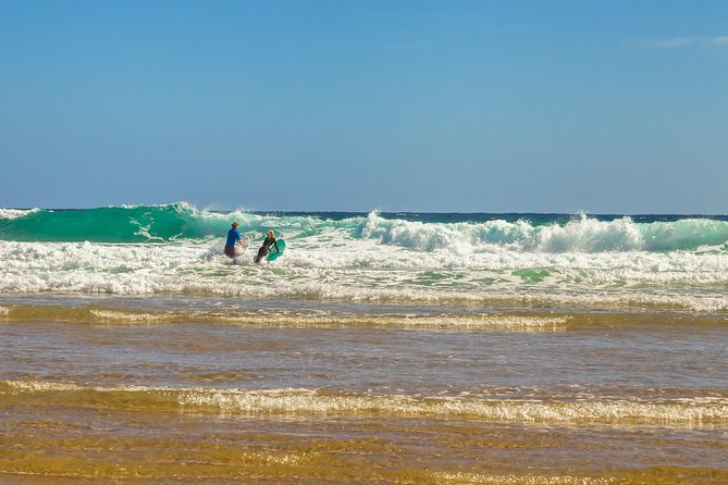 Full-Day Private Australian Wildlife Tour of Phillip Island - Nobbies and the Lava Coastline: Seals, Wallabies, and Wave Power