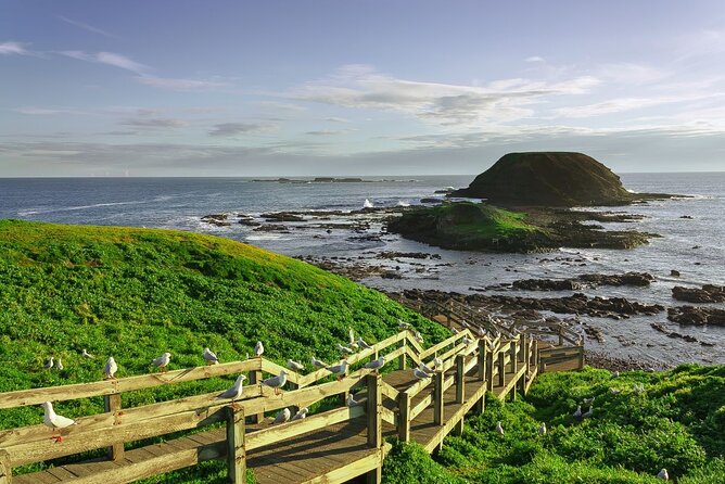 Full-Day Private Australian Wildlife Tour of Phillip Island - Brighton Beach and Port Phillip Bay Views (Yes, Even the Beach Boxes)