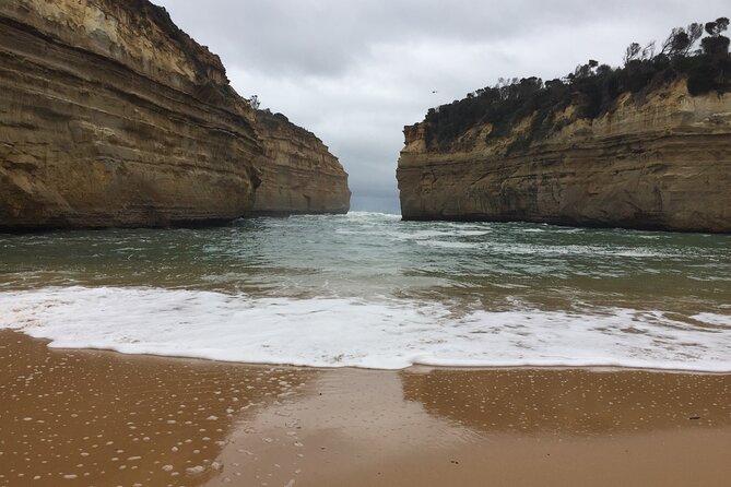 Full Day Private Custom Tour of Great Ocean Road & 12 Apostles - Kennett River: wildlife spotting without the safari hype