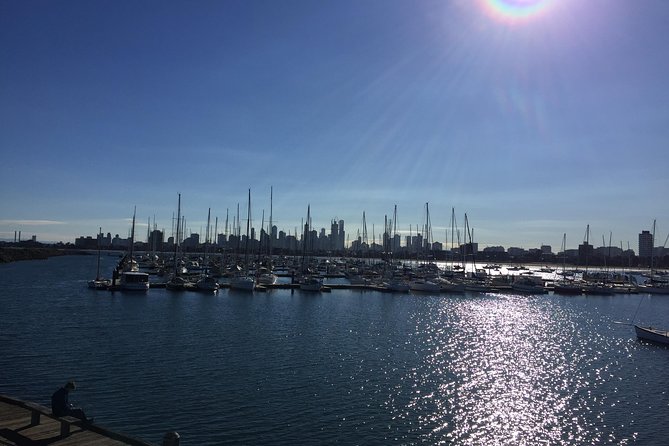 Full Day Private Melbourne Tour with enchanting Koala Encounters. - A Private Melbourne Day, Tuned to Your Pace