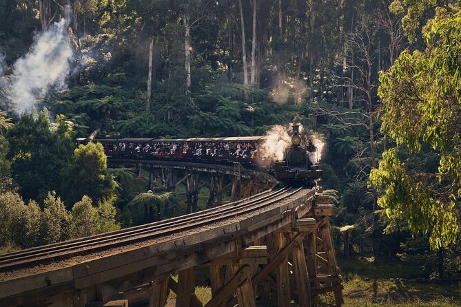 Full Day Tour of Great Ocean Road and 12 Apostles from Melbourne - Kennett River: your best shot at koalas and kookaburras