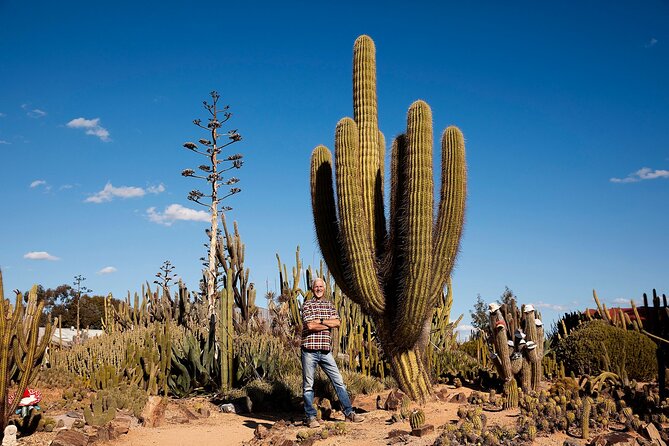 Garden Entry Ticket - Food and drinks: cactus cake, ice cream, honey, and cider