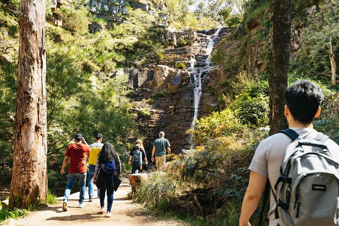 Grampians National Park Small-Group Eco Tour from Melbourne - Key highlights you will actually feel on the day