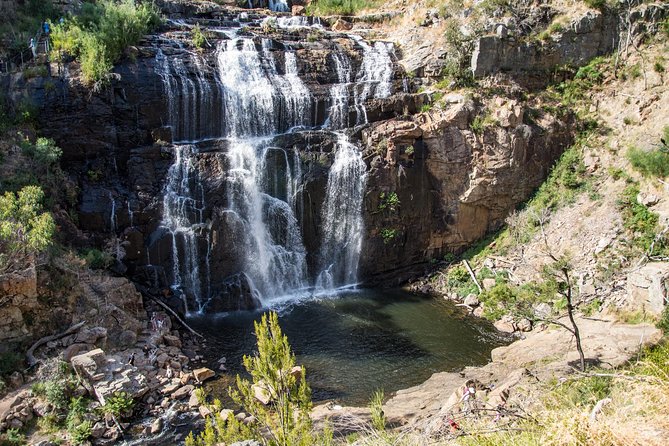 Grampians National Park with MacKenzie Falls and Kangaroos - Key Highlights Worth Your Time