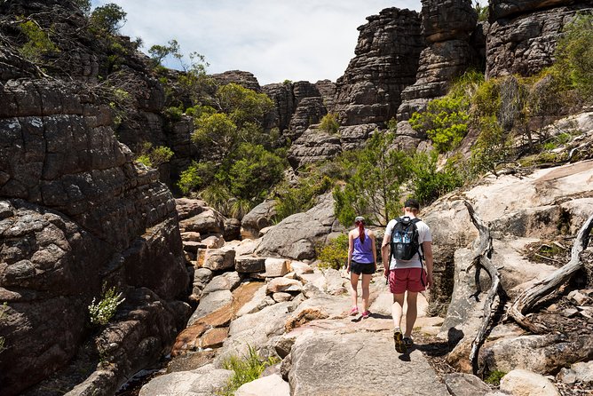 Grampians National Park with MacKenzie Falls and Kangaroos - Grampians National Park Highlights in One Block