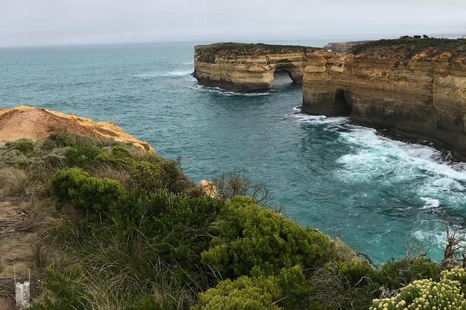Great Ocean Road 12 Apostles kangaroo, koala and chocolate tour - Why this Great Ocean Road day tour is strong for the money