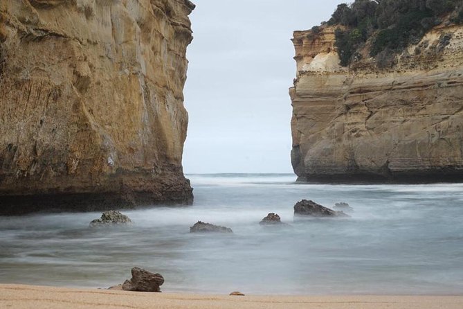 Great Ocean Road 12 Apostles kangaroo, koala and chocolate tour - Stop 1 at the Great Ocean Road Chocolaterie: a comfort break that also sets the mood