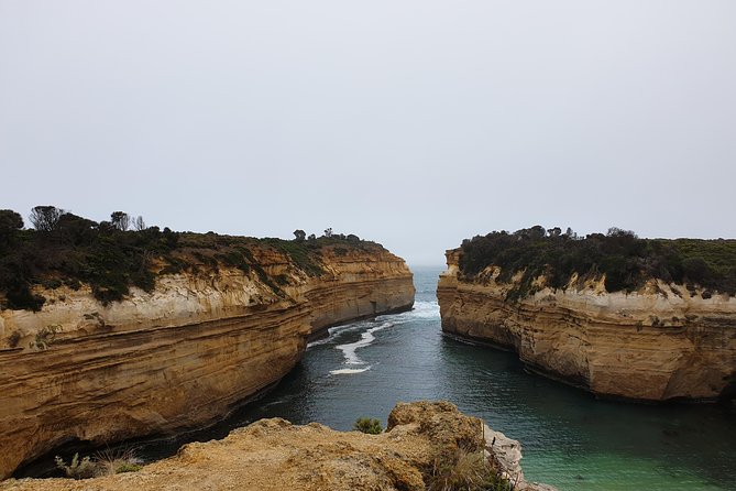 Great Ocean Road 12 Apostles kangaroo, koala and chocolate tour - Anglesea Golf Club: the kangaroo photo hunt (and how to read the moment)