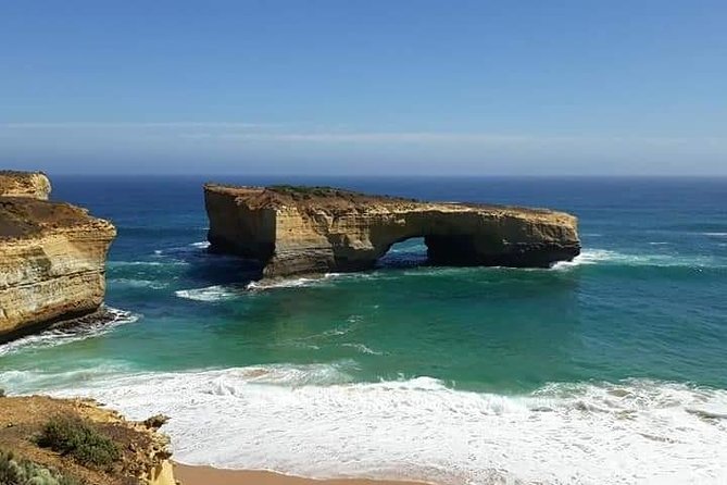 Great Ocean Road 12 Apostles kangaroo, koala and chocolate tour - On-the-road koala checks: the 10-minute reality of wildlife stops