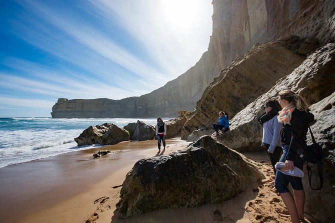 Great Ocean Road, 12 Apostles, Rainforest & Morning Tea-Melbourne - Great Otway National Park: the rainforest stop that changes the pace