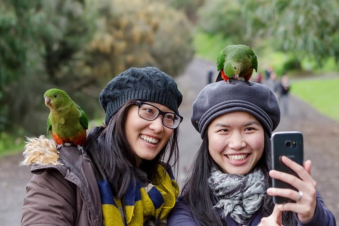 Great Ocean Road, 12 Apostles, Rainforest & Morning Tea-Melbourne - Twelve Apostles: the main event, planned for real viewing time