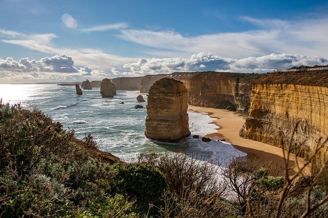 Great Ocean Road, 12 Apostles, Rainforest & Morning Tea-Melbourne - Wildlife spotting and the guide effect (koalas included)