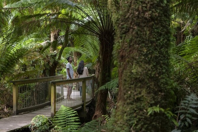 Great Ocean Road, 12 Apostles, Rainforest & Morning Tea-Melbourne - Memorial Arch and Apollo Bay: war memorial photos and coastal town time