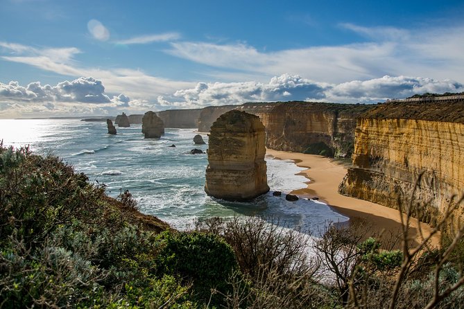 Great Ocean Road 12 Apostles & Rainforest Walk with Morning Tea - A 13-Hour Melbourne-to-Coast Day That Moves, Stops, and Photographs