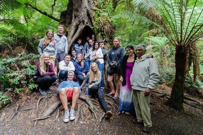 Great Ocean Road 12 Apostles & Rainforest Walk with Morning Tea - Twelve Apostles Time: Short Enough to Stay Moving, Long Enough to Enjoy It