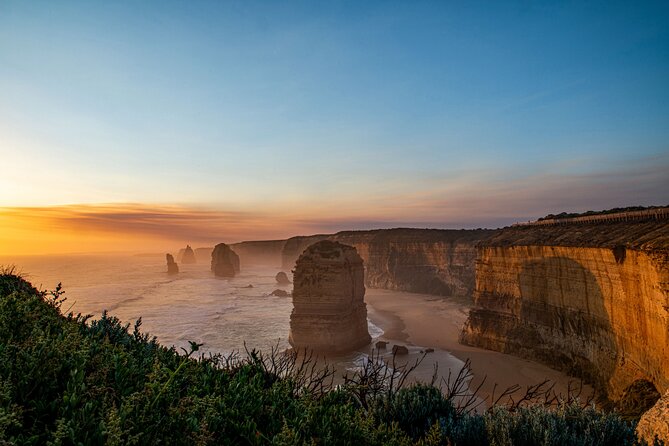 Great Ocean Road 12 Apostles & Rainforest Walk with Morning Tea - Serendip Sanctuary Morning Tea and Wildlife You Might Actually See