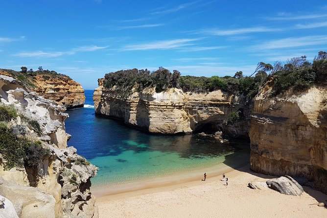 Great Ocean Road Coastal Spectcular with Wildlife Wonders - Wildlife Wonders sanctuary: an easy 1.25 km walk with real interpretation