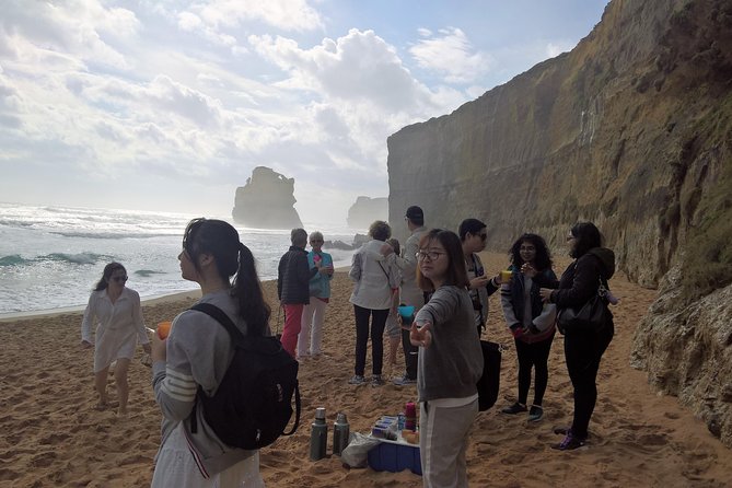 Great Ocean Road Full Day Private Experience - What the guide does for you from Torquay onward