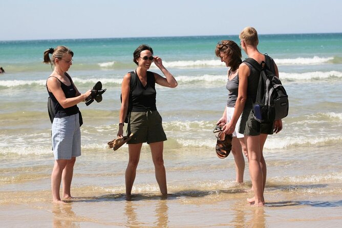 Great Ocean Road Full-Day Sunset Eco Tour from Melbourne - Comfort, group size, and the real seating question