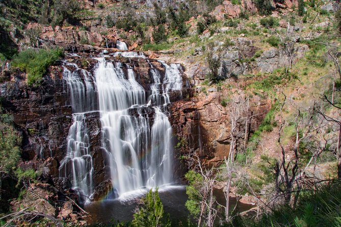 Great Ocean Road Grampians 2 Day Tour from Melbourne to Adelaide - Why this Melbourne to Adelaide combo tour works