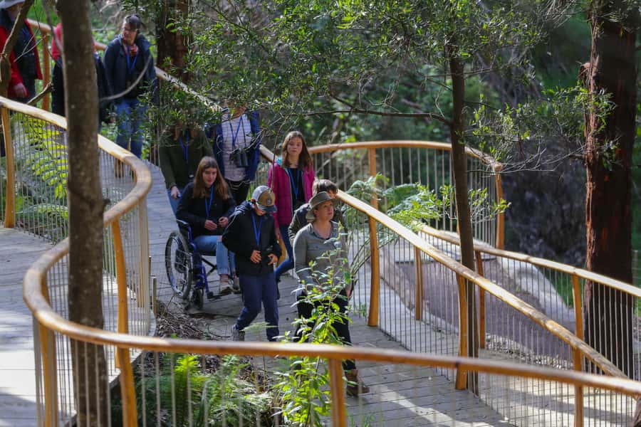 Great Ocean Road: Guided Wildlife Walk that Supports Nature - Walking comfort: what to bring (and what to wear)