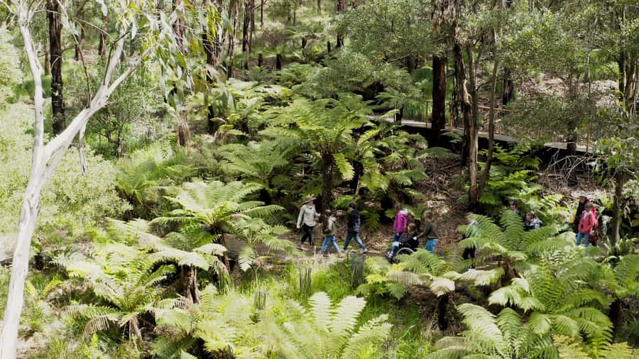 Great Ocean Road: Guided Wildlife Walk that Supports Nature - After the walk: Emu Cafe time without turning it into a second event