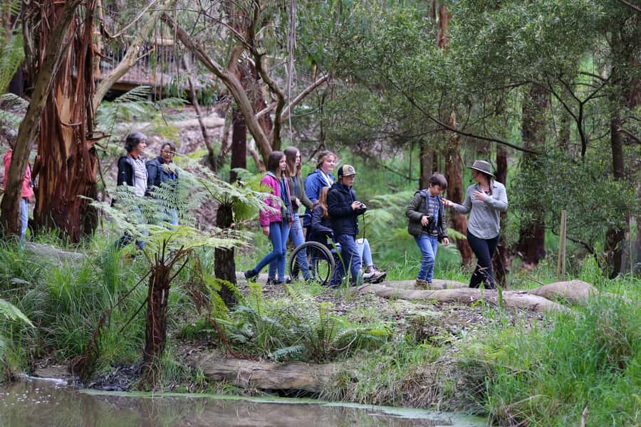 Great Ocean Road: Guided Wildlife Walk that Supports Nature - Meeting Point and the first 10 minutes that matter