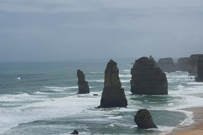 Great Ocean Road Private Day Tour - Koalas and kangaroos: how the wildlife stops fit into a road trip day