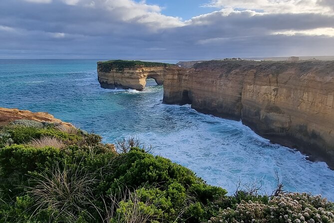 Great Ocean Road Private Luxury Tour - Melba Gully National Park: rainforest walking without the slog