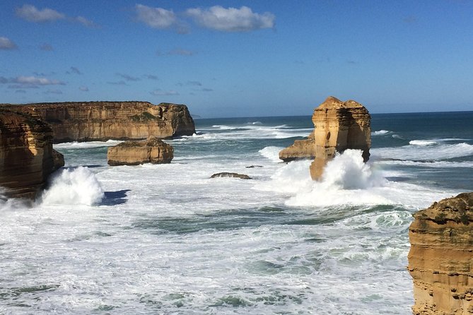 Great Ocean Road Reverse Rainforest & 12 Apostles from Melbourne - Wye River koala chances: fun search, no guarantees
