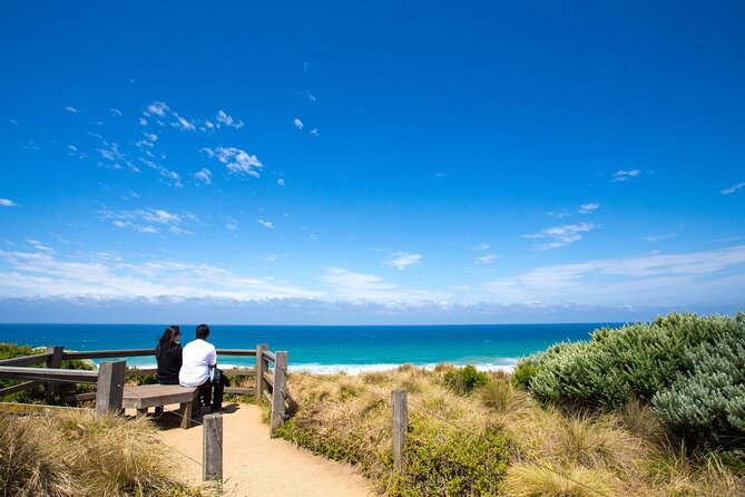 Great Ocean Road Reverse Tour with Iconic Stops & Wildlife - Great Ocean Road koala chance: wildlife spotting done the practical way
