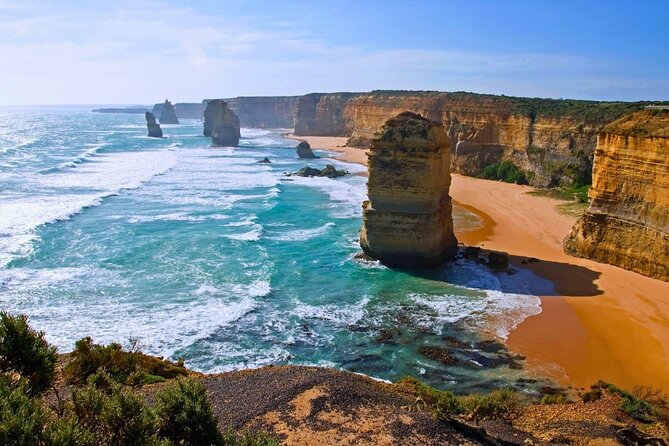 Great Ocean Road Small-Group Eco Tour from Melbourne - Kennett River koalas: your best shot at the real thing