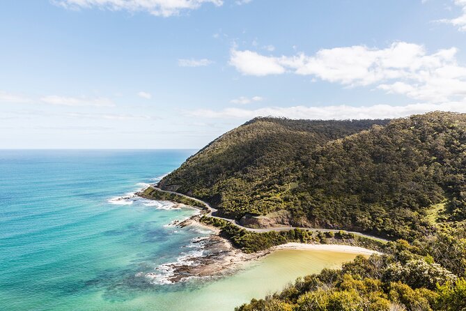 Great Ocean Road Small Group Tour with Dingos, Sparkling & Lunch - Otways viewpoint time and the rainforest break you will feel