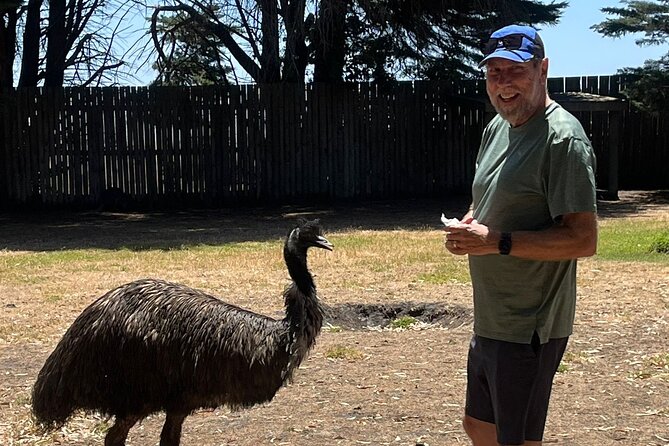 Great Ocean Road Small Group Tour with Dingos, Sparkling & Lunch - Twelve Apostles viewing, Gibson Steps, and the included sparkling moment