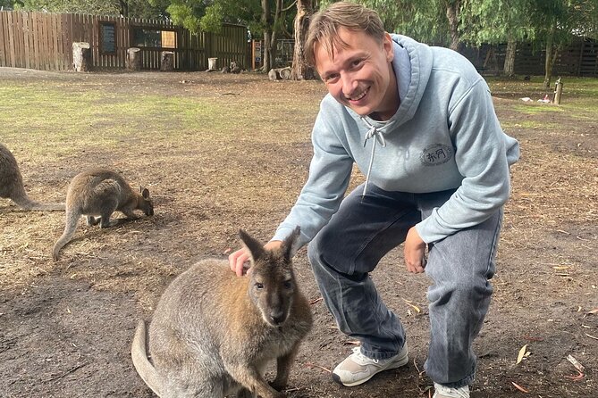 Great Ocean Road Small Group Tour with Dingos, Sparkling & Lunch - Who this tour suits best