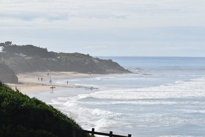 Great Ocean Road Tour Plus Koalas, Forest Walk and Morning Tea - Mait’s Rest forest walk: tall trees, fresh air, and a walk you can actually enjoy