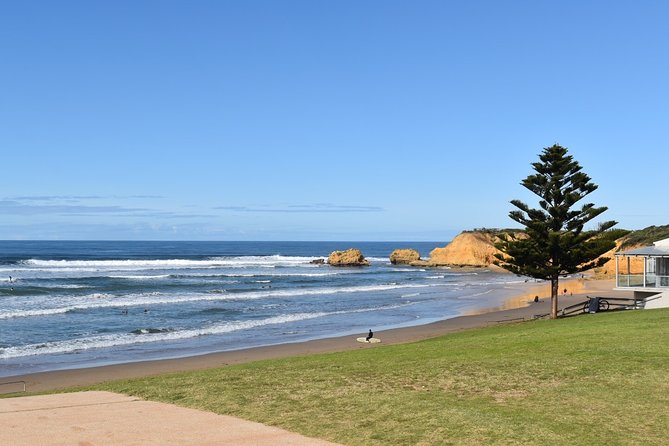 Great Ocean Road Tour Plus Koalas, Forest Walk and Morning Tea - Gibsons Steps and the 12 Apostles: why the tour gives you sea-level first