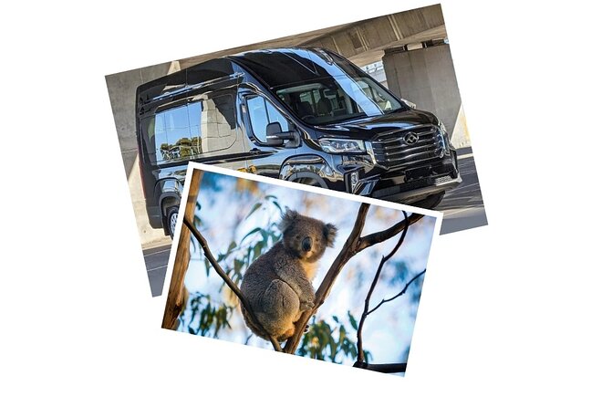 Great Ocean Road Tour Reverse –SML GRP-DLUX Mini Bus Hotel Pickup - Reverse Great Ocean Road From Melbourne, What This Day Actually Feels Like