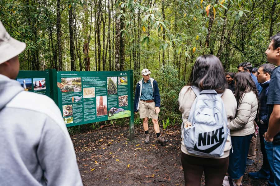 Great Ocean Road Tour w/ Deluxe Minibus & Top-Rated Guide - Kennett River Wildlife Time, and the Koala Bonus Factor