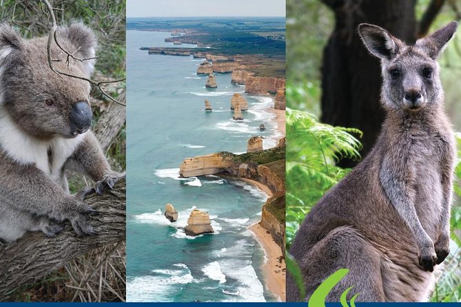 Great Ocean Road Ultimate Two Day Tour - Overnight Apollo Bay: what you get, and how to make it feel better