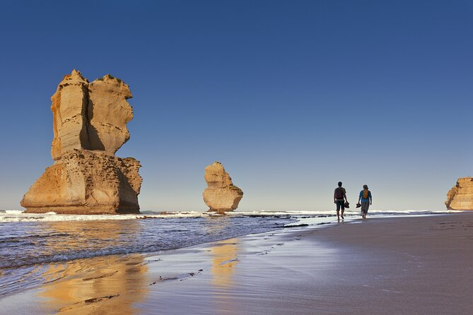 Half-Day or Full-Day Tour with Private Guide from Melbourne - Half-Day vs Full-Day: Picking the Right Amount of Time